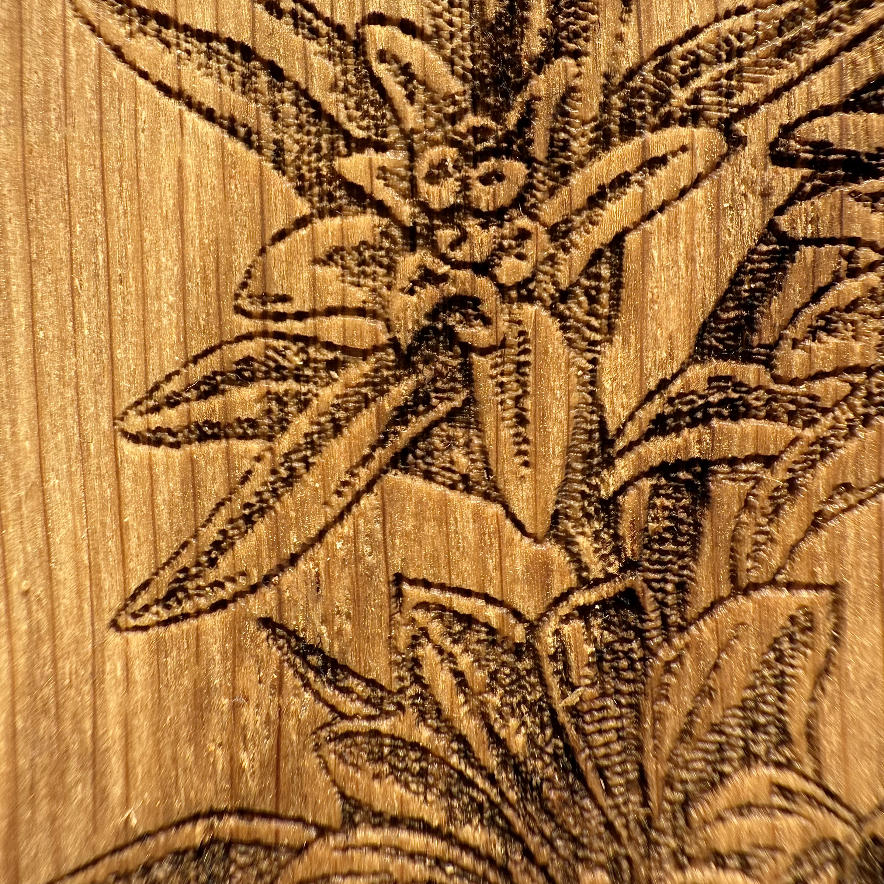 Eichenholz-Untersetzer Alpensymbole