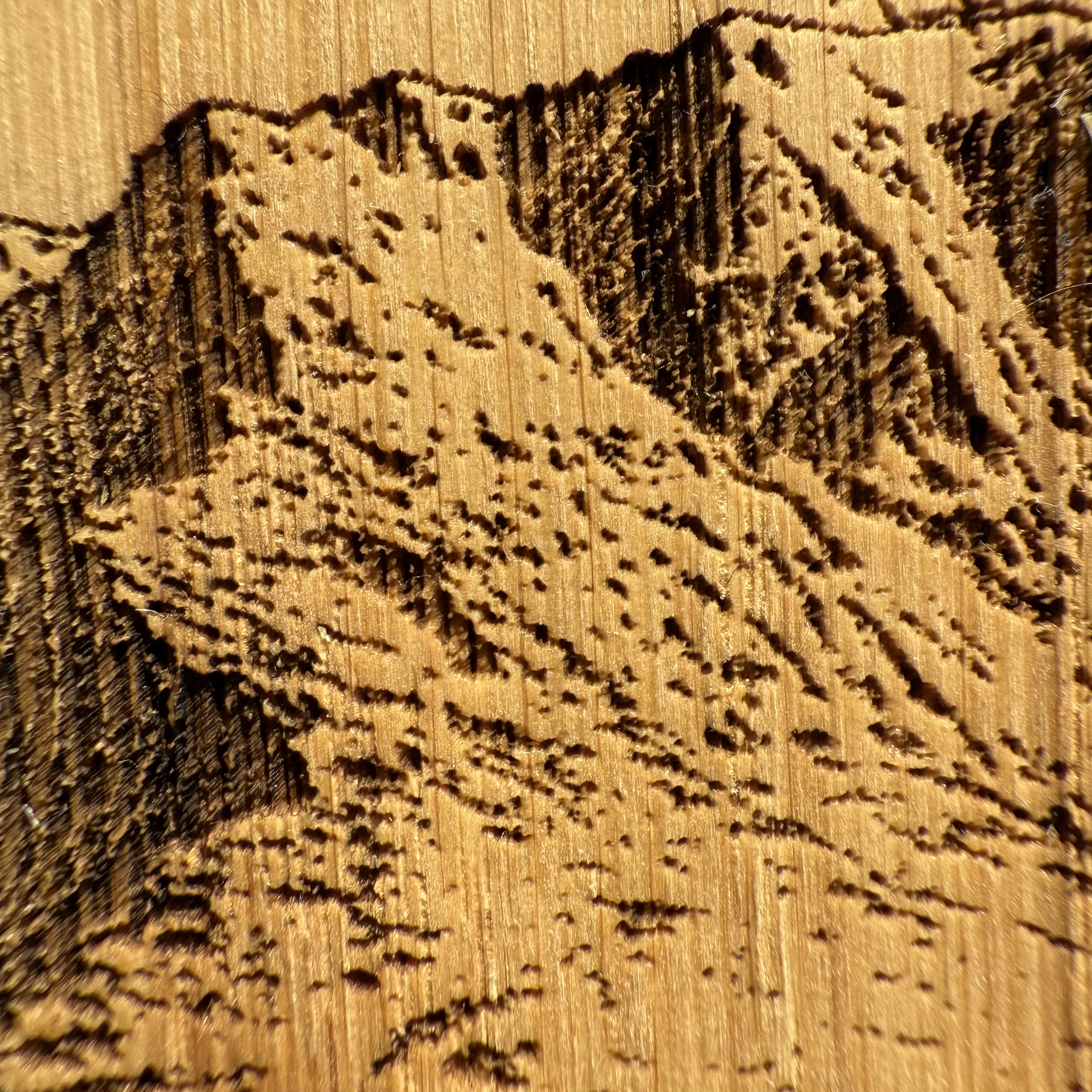 Eichenholz-Untersetzer Alpen